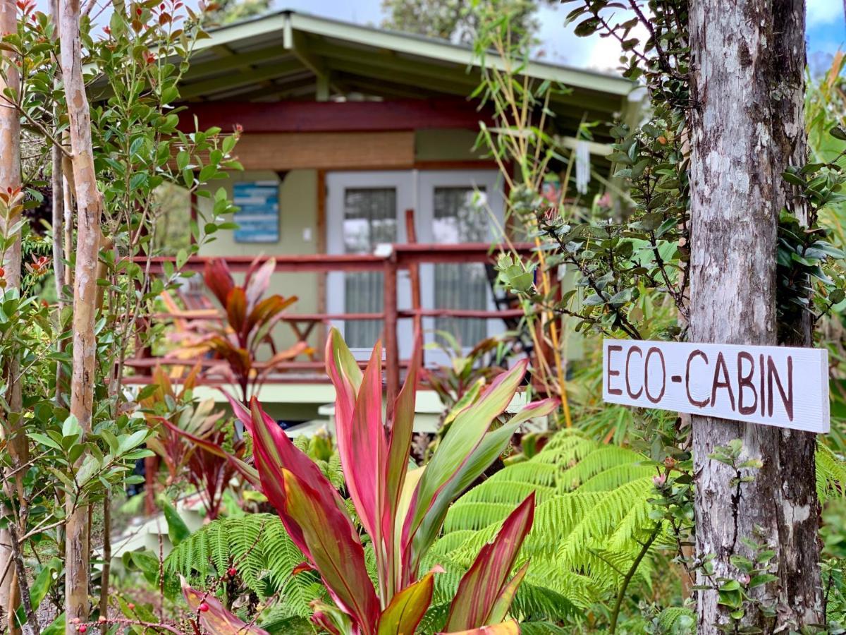 Volcano Eco Cabin & Eco Lodge Zewnętrze zdjęcie